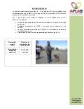 informe adopción de los 11 perros auxiliados Caso Sra A.Sanchez