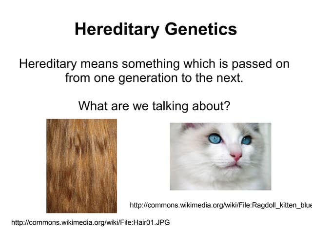 Inheritance Presentation (2012-2013)