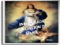Inmaculada Concepción  de MaríA (Cmp)