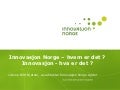 Innovasjon norge – hvem er det