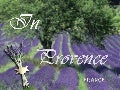 In Provence (France)