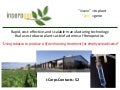 Inserogen final presentation