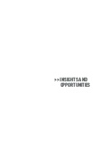 Insight And Opportunity Matrix