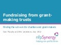 What does the model grant-maker look like?