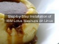 Installation Of Lotus Mashups1.1 On Linux v5 in vmware