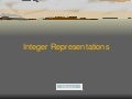 Integer Chips