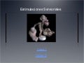 Inteligencia Emocional
