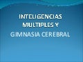 Inteligencia multiple