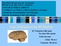 Inteligencias Múltiples
