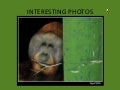 Interesting Photos
