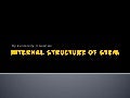Internal structure of stem