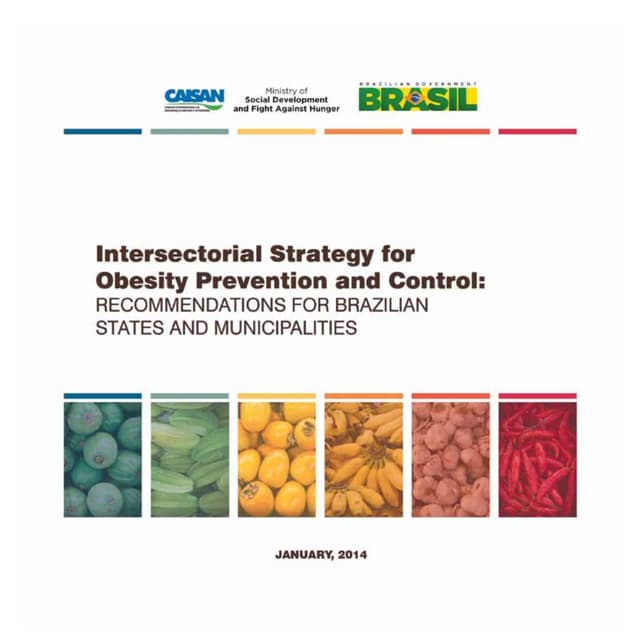 Estratégia Intersetorial de Prevenção e Controle da Obesidade (versão em inglês)