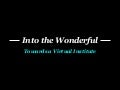 Into The Wonderful