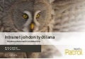 Intranet johdon tyotilana