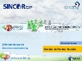 SincorSP - Curso Gestão de Rede Sociais - Introdução as Redes Sociais