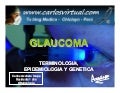 Introduccion Al Glaucoma