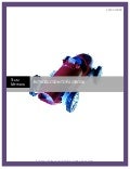 Introduction To Facebook By Gowda, Hauk And Szabo[1]