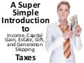 Simple introduction to taxes