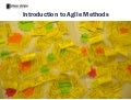 Introduction to Agile Methods