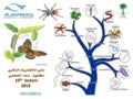 Invertebrate 10  lecture 2013