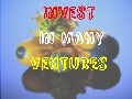 Invest in many ventures