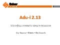 Workshop Adu-i 2.13 - 08.06.13