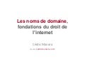 Le droit des noms de domaine