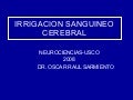 irrigacion del encefalo