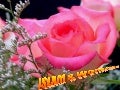 Islam and Woman