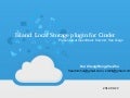 Island: Local Storage Volume for Cinder