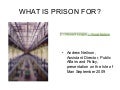 What is prison for? (Isle of Man)