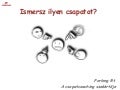 Csapatcoaching - csapatépítés