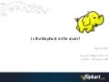 Is the elephant in the room