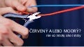 SDKÚ-DS: Červený alebo modrý?