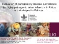 Evaluation of participatory disease surveillance  for highly pathogenic avian influenza in Africa and rinderpest in Pakistan