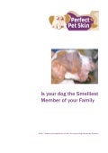 Is Your Dog The Smelliest Member of Your Family