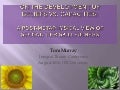 On the development of beliefs vs. capacities: A post-metaphysical view of second tier skillfulness. 