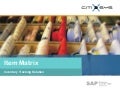 Item Matrix for Sap Business One