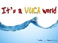 It&rsquo;s A Vuca World!