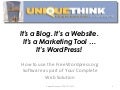 Its Wordpress Presentation - Updated June 2009