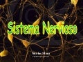 TODO SOBRE  unidad el sistema nervioso