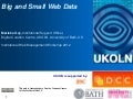 Big and Small Web Data