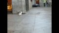 Entrenamiento diario en mi barrio Plaza dos de Mayo en Malasaña