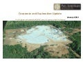 Pan American Gold Fields