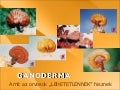 DXN Dr. Jane Yau Prezentáció 2010 