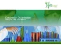 iGB Down Under - Site Optimization & Conversion Strategies