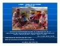 Factores preponderantes para la conservación de la Variabilidad de papas nativas en las comunidades campesinas de Amaru, Chahuaytire y Viacha – Pisac – Cusco