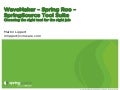 WaveMaker - Spring Roo - SpringSource Tool Suite - Choosing the right tool for the right job