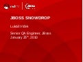 JBoss Snowdrop