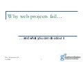 Why Web Projects Fail